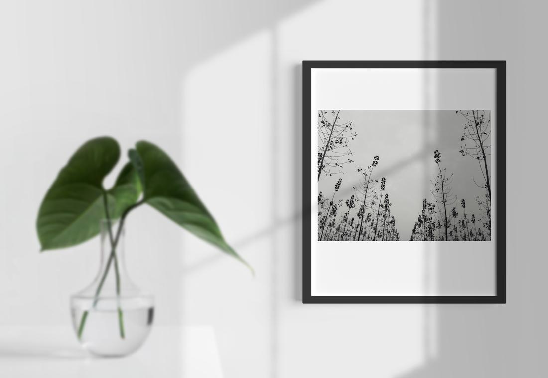 Acquista Arte Contemporanea - Buy Art Online - Paesaggio - Fine Art Photography - Fotografia Fine Art - Landscape