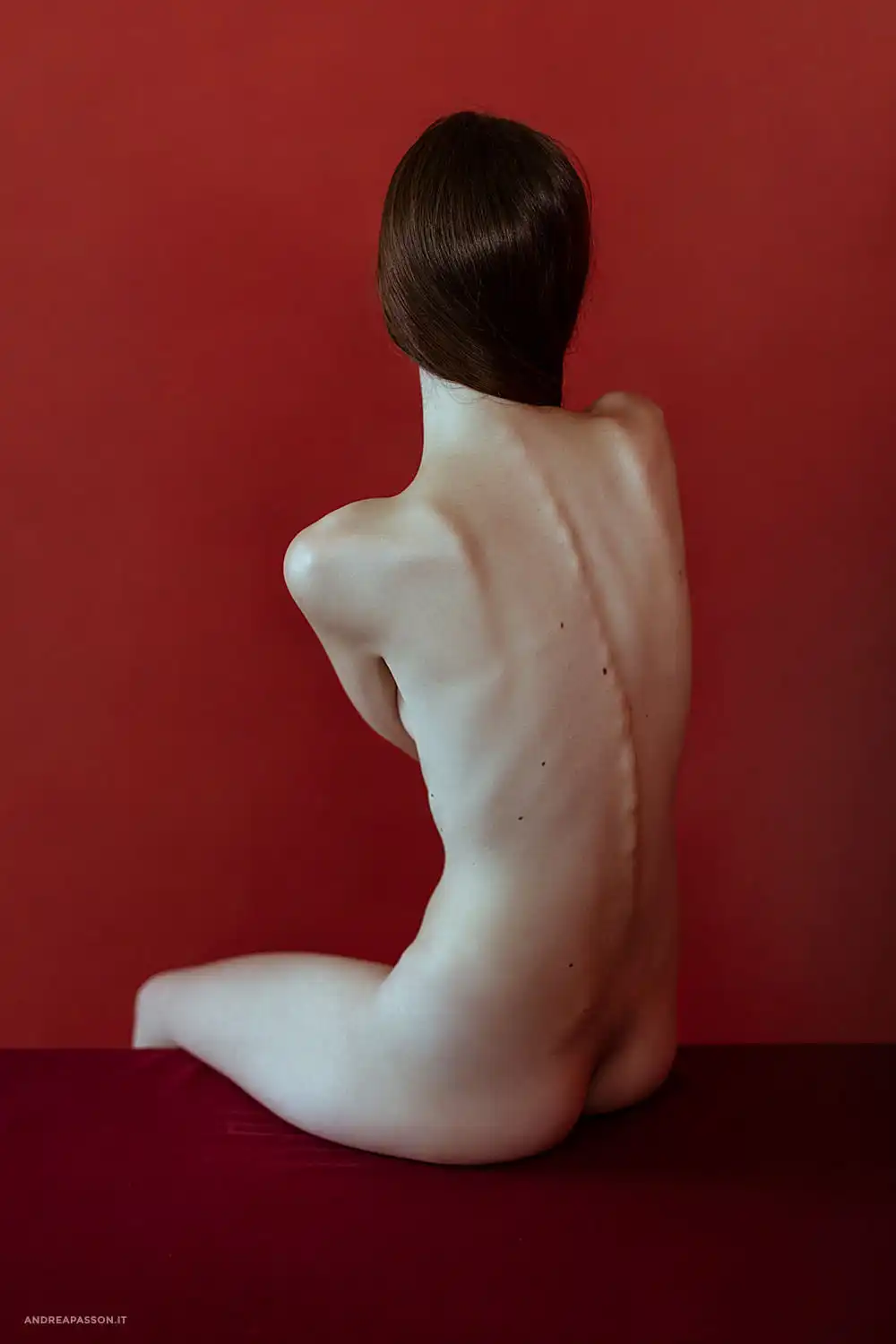 Nude Art - Nudo Artistico - Acquista Arte Contemporanea - Acquista Fotografia Fine Art - Modella - Fotografia Fine Art - Fotografia di Ritratto - Fotografo a Treviso e Milano - Padova - Venezia - Vicenza - Verona - Conceptual Art