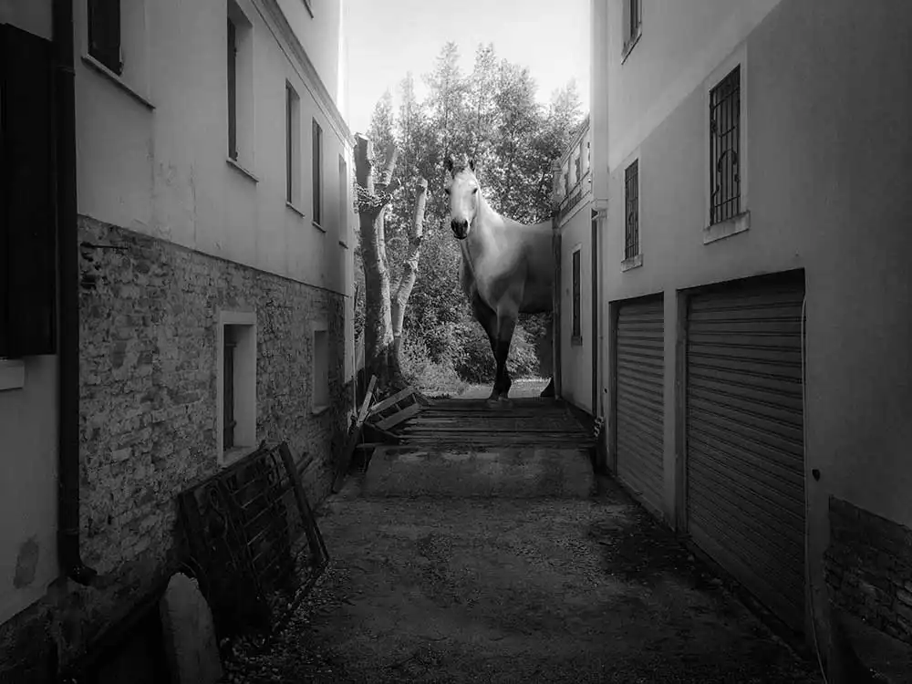 Street Photography - Surrealismo - Fotografia Fine Art - Fotografia Artistica - Fotografo a Treviso e Milano - Padova - Venezia - Vicenza - Verona - Workshop e Corsi di Fotografia a Montebelluna ed Asolo