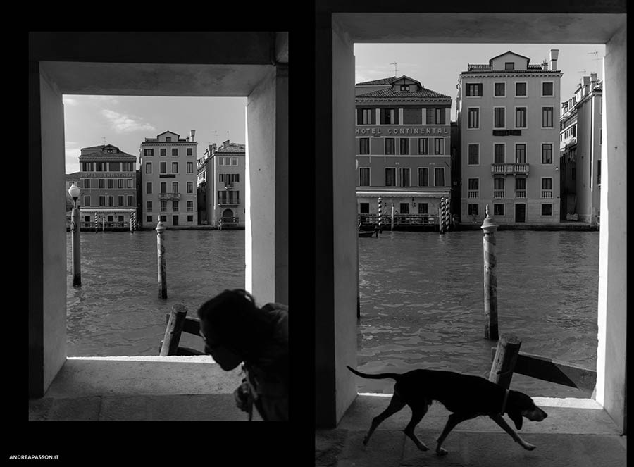 Acquista Arte Contemporanea e Fotografia Fine Art a Venezia