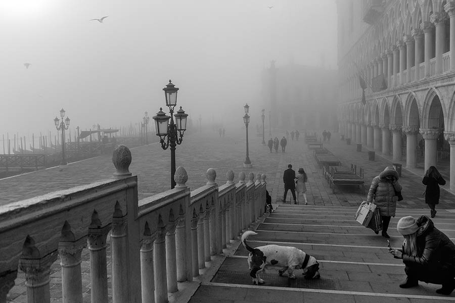 a quiet day - Acquista Arte Contemporanea e Fotografie Artistiche a Venezia