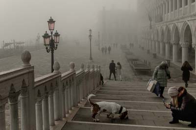 Andrea Passon - Fotografo a Venezia - Servizi Fotografici a Venezia Mestre