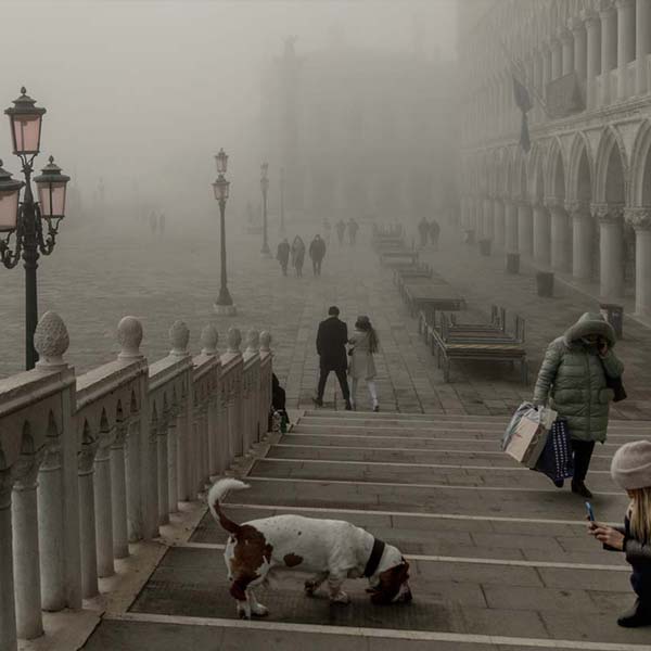 Fotografo professionista a Venezia - Moda, Ritratto e Fine Art