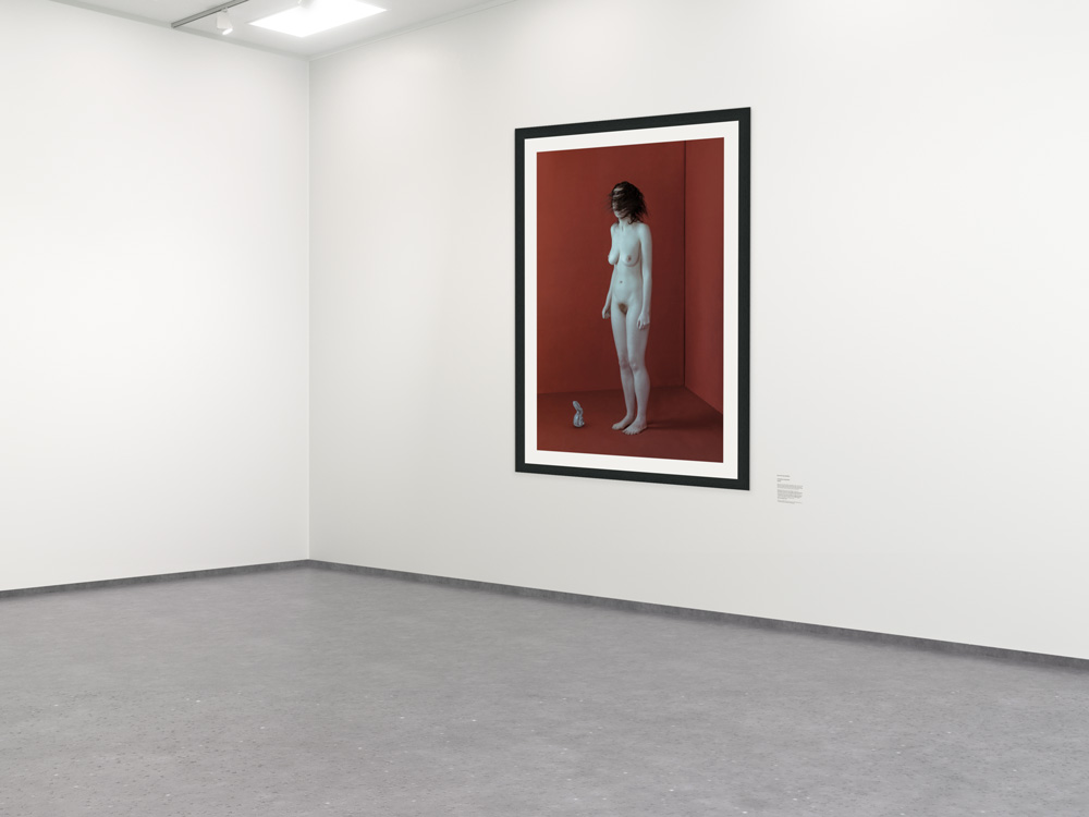 Nudo in Scatola - Fotografo Fine Art a Treviso e Milano - Acquista Arte Contemporanea - Galleria d'Arte - Museo
