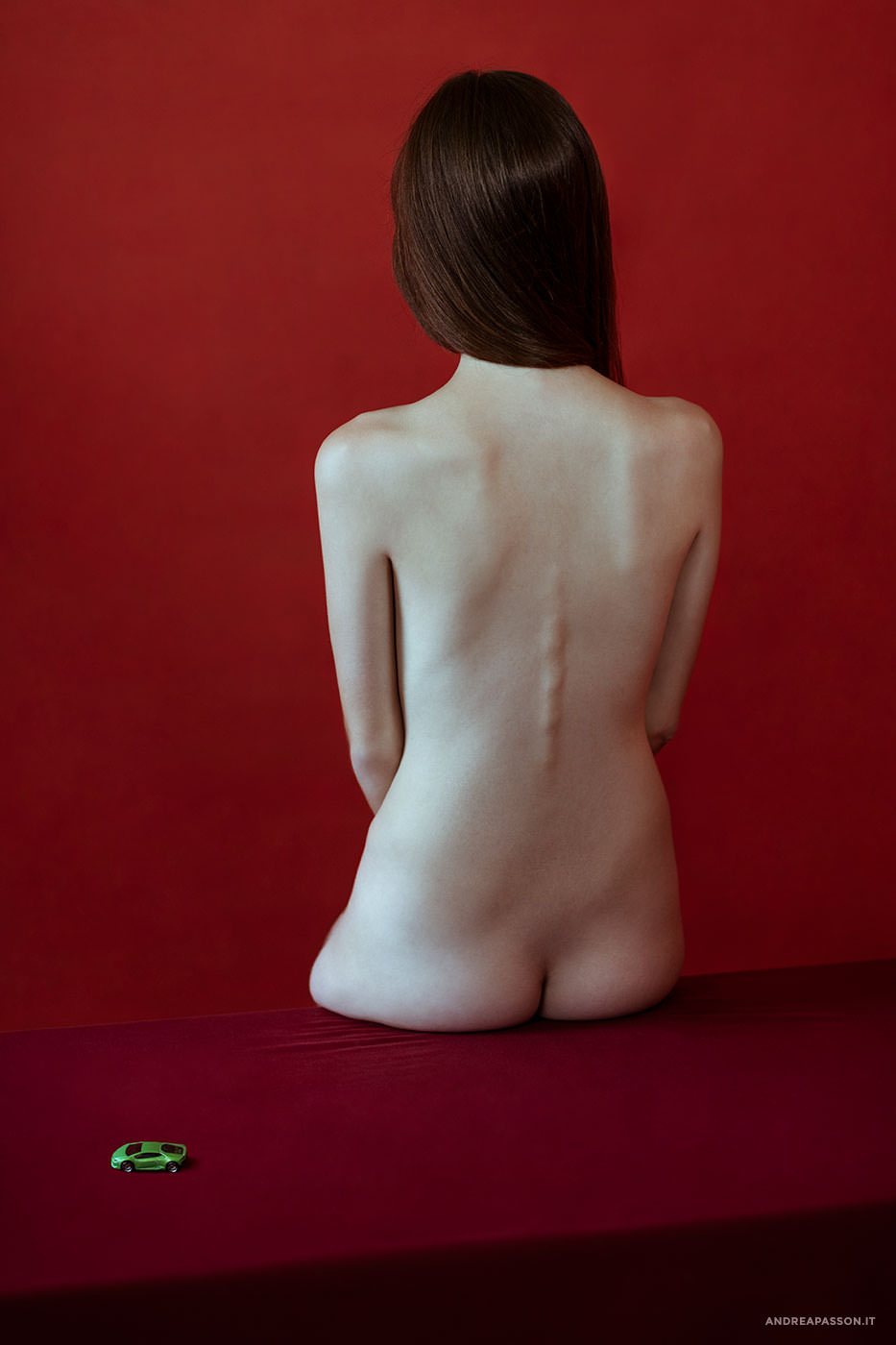 The Braque Theory - Fotografia Nude Art - Fotografo di Treviso - Fotografia Nudo Artistico