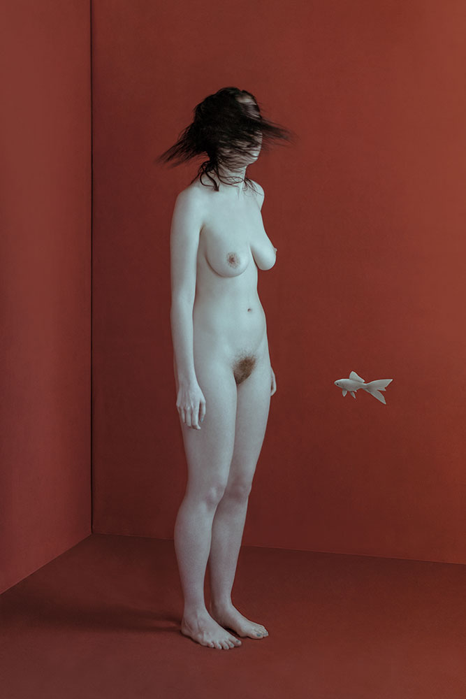 Nudo in Scatola - Fotografo Fine Art a Treviso e Milano - Acquista Fotografia Artistica
