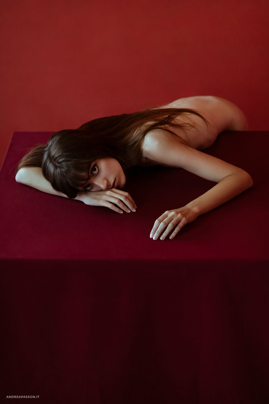 The Braque Theory - Fotografia Nude Art - Fotografo di Treviso - Fotografia Nudo Artistico